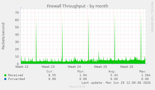 Firewall Throughput