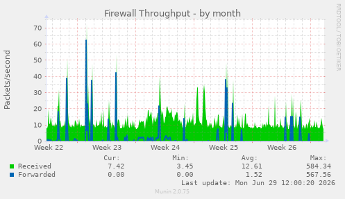 Firewall Throughput